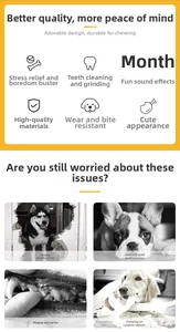 Infographic showing features of a squeaky pet toy and common behavioral issues in dogs.
