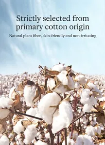 Gros plan de capsules de coton brut naturel poussant dans un champ ensoleillé