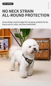 Detail of a reflective vest-style dog harness for small dogs on a Bichon Frise