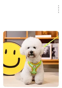 Close-up of a white Bichon Frise wearing a reflective green dog harness vest