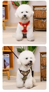 Reflective vest-style dog harness and leash set for small pets in lifestyle setting