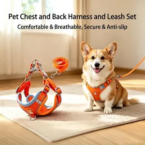 Reflective Dog Harness And Leash Set Breathable Fabric Anti Escape Adjustable Vest For Small Medium Dogs Walking