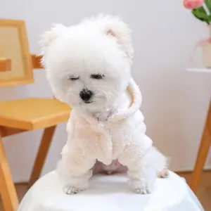 Calda felpa con cappuccio in lana d'agnello color crema per cani indossata da un Bichon