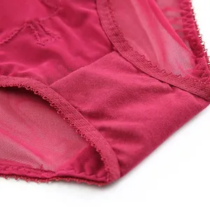 Detailed macro shot of red sexy lace breathable women's mesh briefs clothing