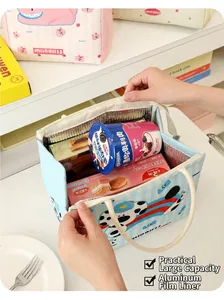 Close-up of cute insulated lunch bag with aluminum foil liner and large capacity