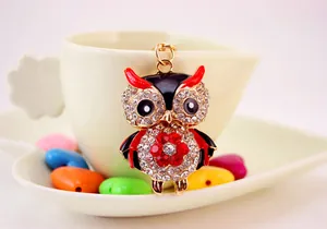 Detailed shot of a cartoon owl keychain with red and clear rhinestones on metal.