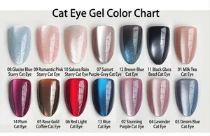 Professional color chart of 14 cat-eye effect press-on nails for wholesale selection