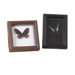 Butterfly Specimen Photo Frame Wood MDF Glass Hollow Shadow Box Desktop Wall Hanging Decor Retro European Style Home Office