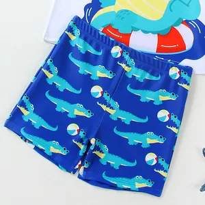 Boys' two-piece quick-dry swimwear set with cute cartoon crocodile pattern prints