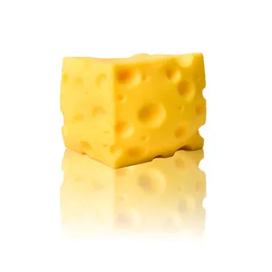 Detail of large realistic cheese squishy toy with realistic holes and soft texture