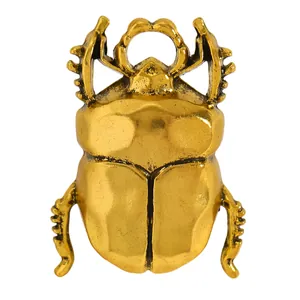Dettaglio ravvicinato di una spilla a scarabeo dorata vintage per accessori di abbigliamento