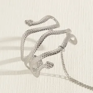 Detailopname van een zilveren tweekoppige slangenarmband met schubben en ketting.