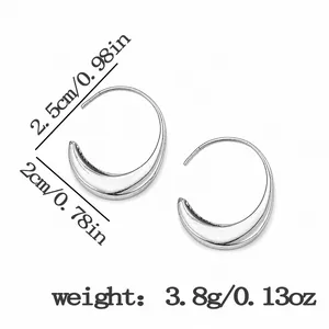 Détail de boucles d'oreilles argentées irrégulières avec poids de 3,8g et dimensions