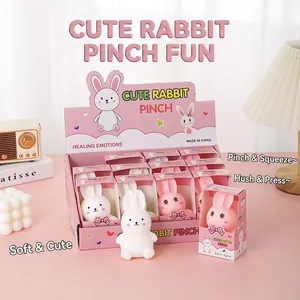 Cute rabbit squeeze toy set in a pink decorative indoor scene with gift packaging