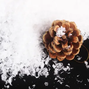 Texture détaillée de flocons de neige artificielle blanche avec un cône de pin