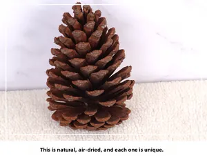 Gedetailleerde close-up van een grote natuurlijke gedroogde dennenappel voor kerstdecoratie DIY
