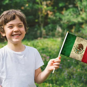 Bambino felice che tiene una piccola bandiera messicana in un parco soleggiato all'aperto
