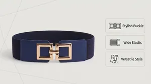 Macro detail of the elegant golden interlocking square buckle on this wide elastic belt