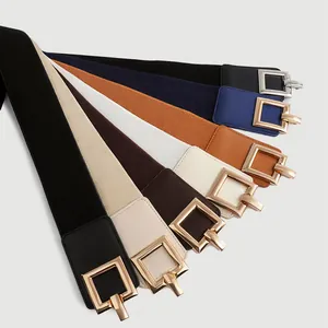 Detail view of wide elastic waist belts for women with square metallic buckles in multiple colors