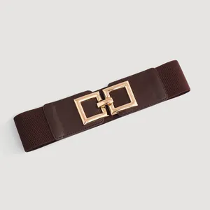 Detail shot of a wide dark brown elastic women's belt with a gold square buckle