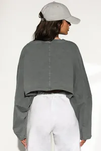 Rear view of a charcoal gray oversized cropped sweatshirt showing back center seam detail