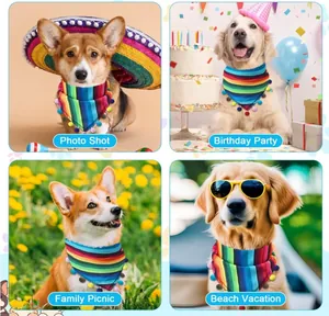 Detail view of Mexican striped pet bandana with colorful pom-poms on dogs in various scenes.