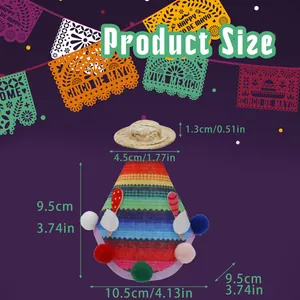 Detailed size illustration of Mexican style goose costume with mini straw hat
