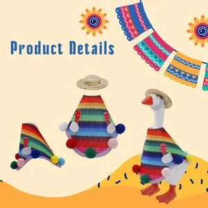 Detailed view of Mexican style rainbow poncho and straw hat for 7-inch goose statues.