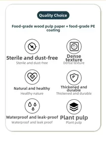 Infographie détaillée montrant la pâte de bois alimentaire et le film PE pour les assiettes