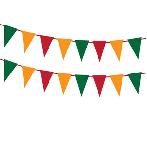 Decorazione per festa messicana con bandierine triangolari colorate su bianco