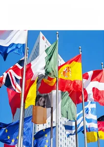 Detailed outdoor view of various world flags flying against a blue sky background