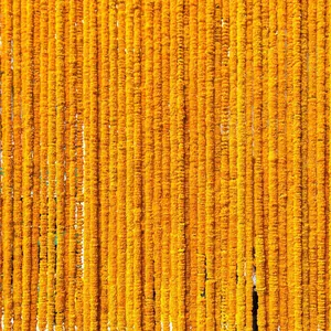 Detailed close-up view of dense orange marigold flower garlands for festive decorations