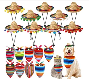 Detail view of colorful Mexican pet sombrero hats and striped bandanas set