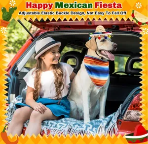 Small dog wearing Mexican sombrero and colorful striped bandana in festive car scene