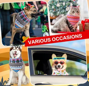 Pets wearing Mexican sombrero hats and bandanas in various festive lifestyle settings