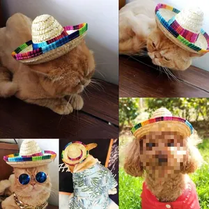 Detailed collage of cats and dogs wearing mini Mexican straw hats with colorful trim