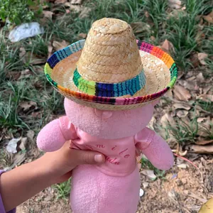 Detailed view of a Mexican straw hat with colorful woven trim on a plush toy mascot