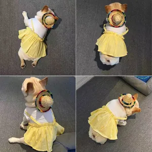 Miniature Mexican straw hat headband with colorful brim detail for pet costume party