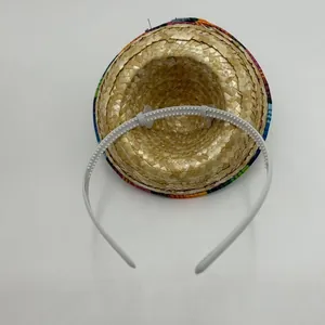 Detailed macro view of mini Mexican pet sombrero with white plastic headband attachment