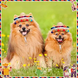 Small dogs wearing mini straw Mexican sombreros with colorful pom-poms for party decoration