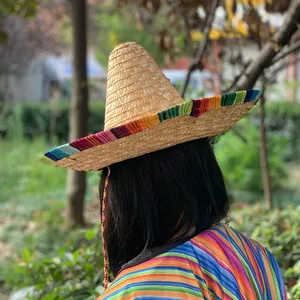 Back view of a traditional Mexican straw sombrero with vibrant rainbow striped trim