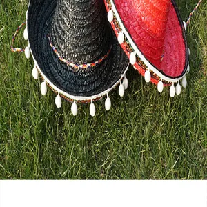 Close-up view of black and red Mexican straw hats with white pom-poms on green grass