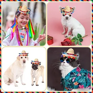 Mexican straw sombrero hats for pets, dogs, cats and kids carnival party decorations