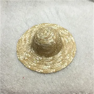 Vista dall'alto dettagliata della trama intrecciata di un mini cappello in paglia per animali