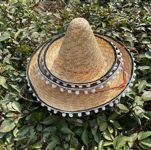 Mexicaanse strooien sombrero-hoeden met kleurrijke rand en witte pompons