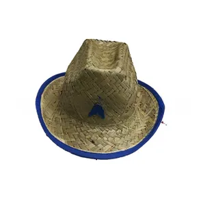 Vista dettagliata di un cappello da cowboy in paglia per animali con bordo blu e stella.
