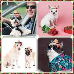 Pet Mexican straw sombrero hats with colorful pom-poms for dogs and cats party costume