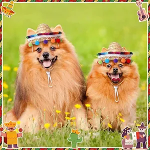 Two small dogs wearing colorful Mexican straw sombreros in a sunny garden setting