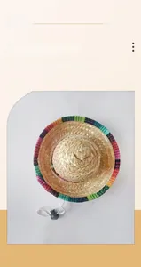 Mini Mexican straw hat for pets, perfect cat and dog photoshoot costume accessories.