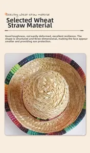 Detailed view of Mexican-style pet straw hat made from premium wheat straw material